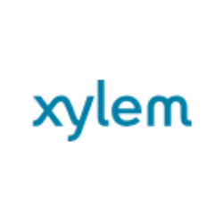 xylem